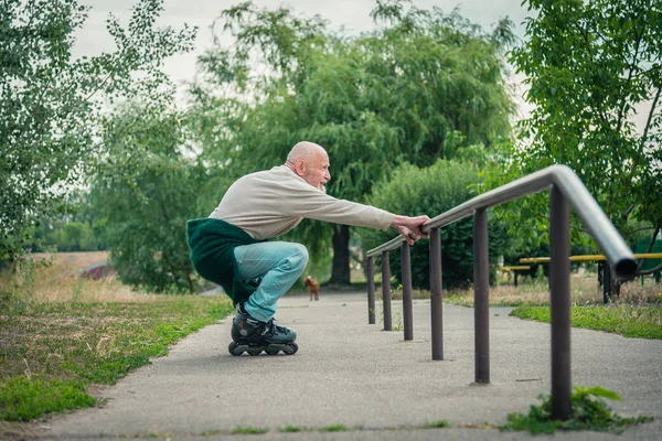 Büyükbaba Griffon doğurmak köpek ile silindir üzerinde rulo