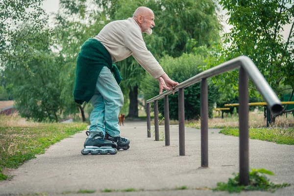 Grandpa rolls on roller with a dog of the Griffon breed — Stock Photo, Image