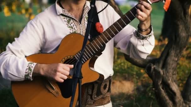 Gitár. Utcai zenész játszik az utcán — Stock videók