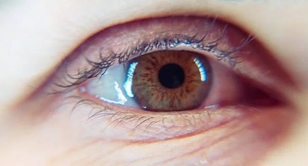 Глаз. Женский глаз — стоковое фото