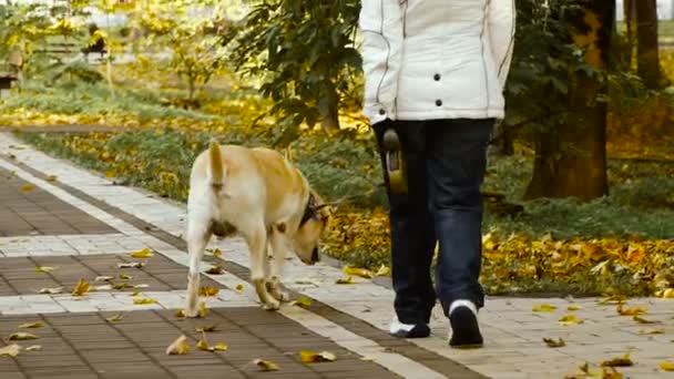 Jesienią. Właściciel idzie z psem — Wideo stockowe