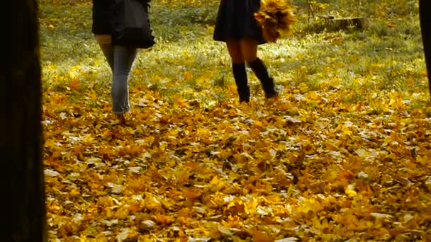 Осінь. Жовте листя в осінньому парку — стокове відео