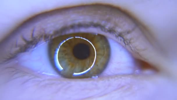 Auge in Auge. weibliches Auge — Stockvideo