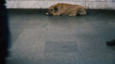 Bacaklar. İnsanlar işe gitmek