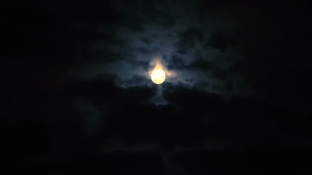 La luna en el cielo nocturno — Vídeos de Stock