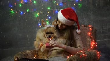 Pomeranian Pomeranian köpek ile Noel şapkalı bir kız