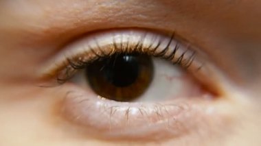 Göz. Kadın göz. Makro çekim