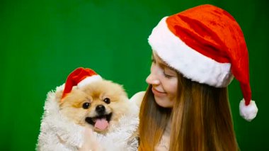 Pomeranian Pomeranian köpek ile Noel şapkalı bir kız