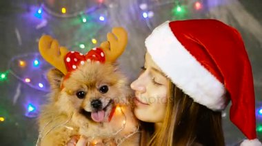 Pomeranian Pomeranian köpek ile Noel şapkalı bir kız