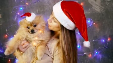 Pomeranian Pomeranian köpek ile Noel şapkalı bir kız