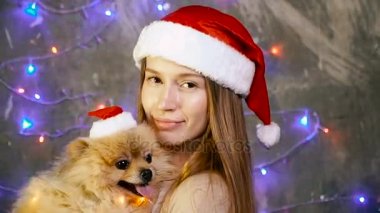Pomeranian Pomeranian köpek ile Noel şapkalı bir kız