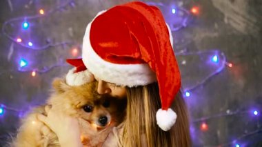Pomeranian Pomeranian köpek ile Noel şapkalı bir kız