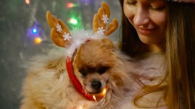 Pomeranian Pomeranian köpek ile Noel şapkalı bir kız