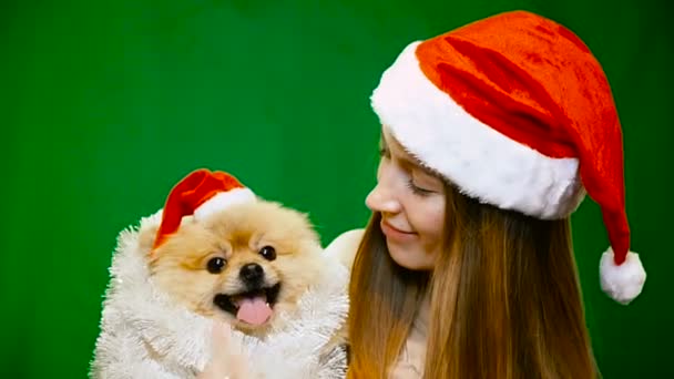 Una chica en un sombrero de Navidad con un perro Pomeranian Pomeranian — Vídeos de Stock