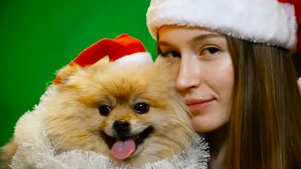 En flicka i en jul hatt med en Pomeranian Pomeranian hund — Stockvideo