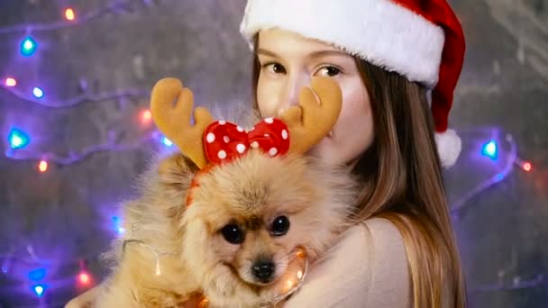 Una chica en un sombrero de Navidad con un perro Pomeranian Pomeranian — Vídeos de Stock