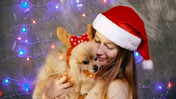 Ein Mädchen mit Weihnachtsmütze und einem pommerschen Hund — Stockvideo