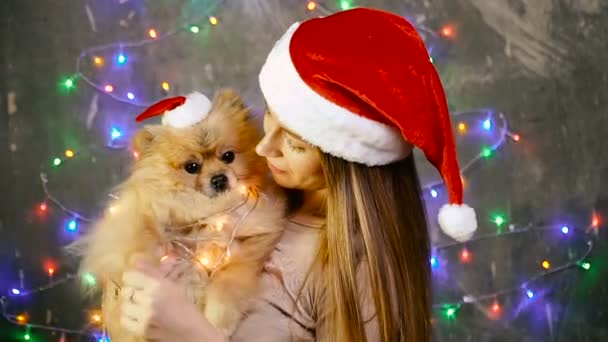Uma menina em um chapéu de Natal com um cão Pomeranian Pomeranian — Vídeo de Stock