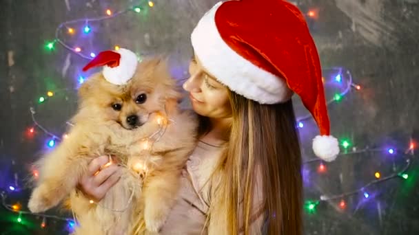 En flicka i en jul hatt med en Pomeranian Pomeranian hund — Stockvideo