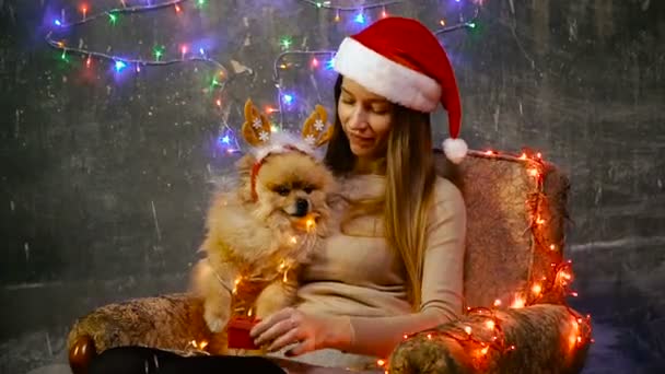 Una chica en un sombrero de Navidad con un perro Pomeranian Pomeranian — Vídeo de stock