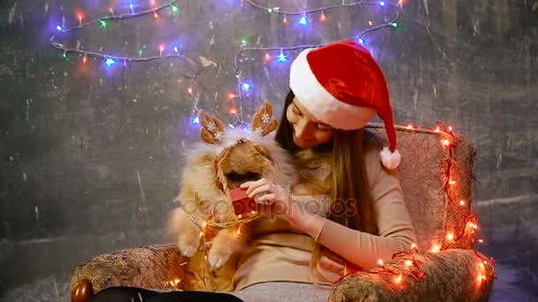 Una chica en un sombrero de Navidad con un perro Pomeranian Pomeranian — Vídeos de Stock