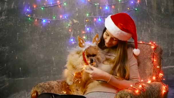 Una chica en un sombrero de Navidad con un perro Pomeranian Pomeranian — Vídeos de Stock