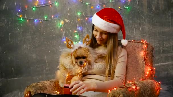 En flicka i en jul hatt med en Pomeranian Pomeranian hund — Stockvideo