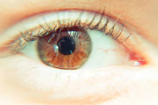 Oczu. Female oko. Macro (makro) — Zdjęcie stockowe