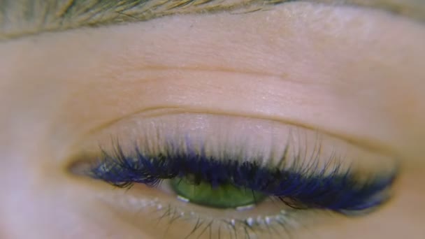 Eyes. Green eyes with blue eyelashes — Stock Video