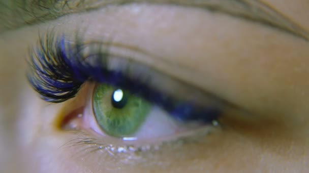 Очі. Зелені очі з блакитними віями — стокове відео