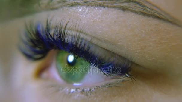 Τα μάτια. Πράσινα μάτια με μπλε βλεφαρίδες — Αρχείο Βίντεο