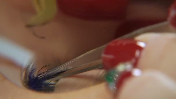 Wimpernverlängerung. Verfahren zur Wimpernverlängerung — Stockvideo