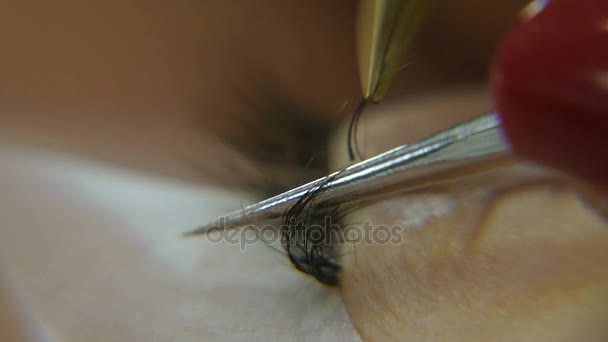 Extension des cils. Procédures d'extension des cils — Video