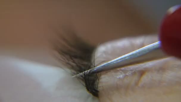 Wimpernverlängerung. Verfahren zur Wimpernverlängerung — Stockvideo