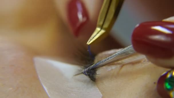 Eyelash extension. Procedures for eyelash extension — Stock Video