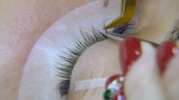 Extension des cils. Procédures d'extension des cils — Video