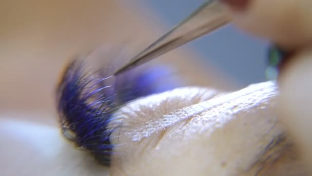 Wimpernverlängerung. Verfahren zur Wimpernverlängerung — Stockvideo