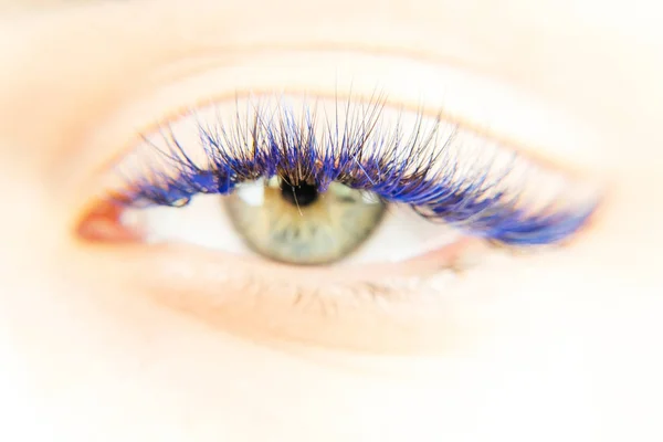 Eyes. Green eyes with blue eyelashes — Stock Photo, Image