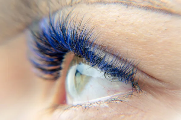 Глаза. Зеленые глаза с голубыми ресницами — стоковое фото