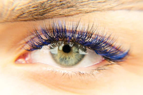 Ögon. Gröna ögon med blå ögonfransar — Stockfoto