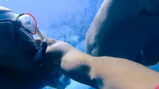 Diugoń Przybrzeżny Facet Sprawia Selfie Dugong Morze Czerwone Marsa Alam — Wideo stockowe