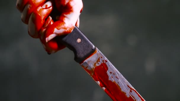 Bloody Knife Hand Holds Bloody Knife — Stock Video