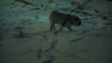 Kötü hava. Şehrin karla kaplı.