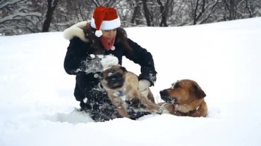 Pug. Köpek Noel Baba şapkalı