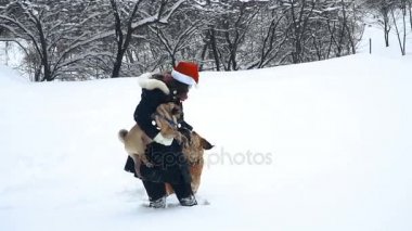 Pug. Köpek Noel Baba şapkalı