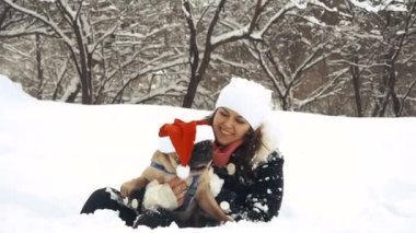 Pug. Köpek Noel Baba şapkalı