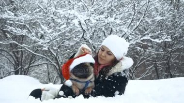 Pug. Köpek Noel Baba şapkalı