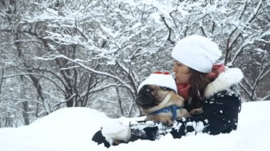 Pug. Köpek Noel Baba şapkalı