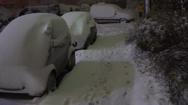 Uma Queda Neve Máquinas Cobertas Neve — Vídeo de Stock