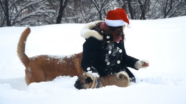 Mopshond Hond Kerstman Hoed — Stockvideo